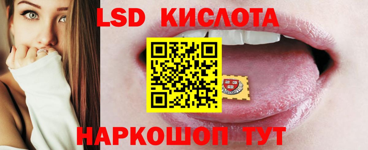 ЛСД экстази ecstasy  Вход с VPN  Камышлов  LSD-25 экстази ecstasy 