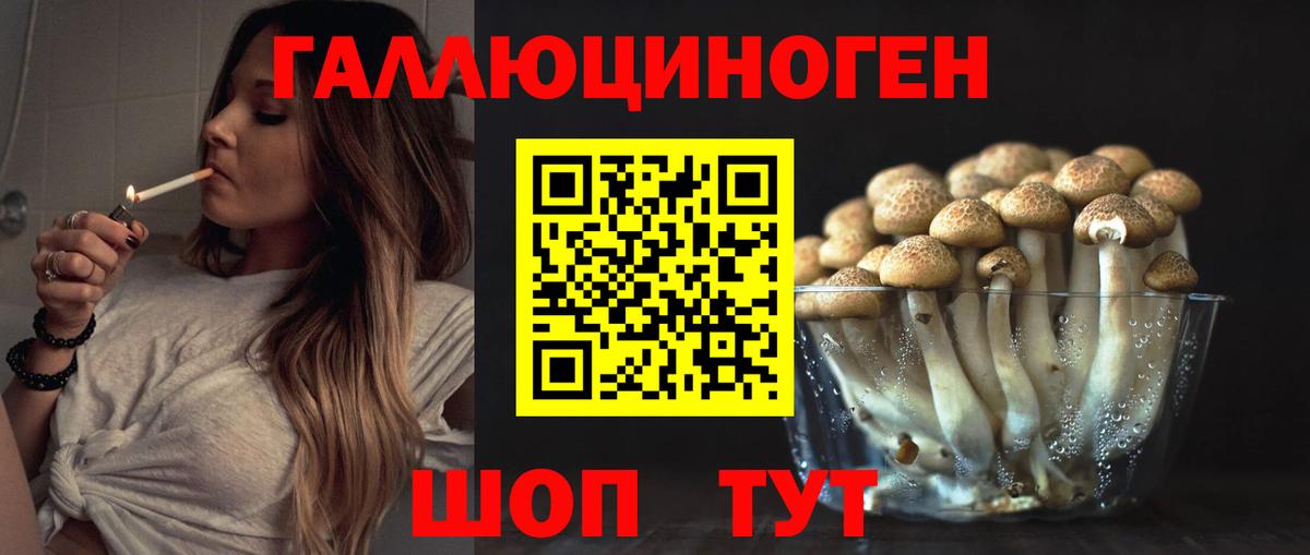 дарнет шоп  Вход с VPN  Камышлов  Псилоцибиновые грибы мицелий  Галлюциногенные грибы GOLDEN TEACHER 